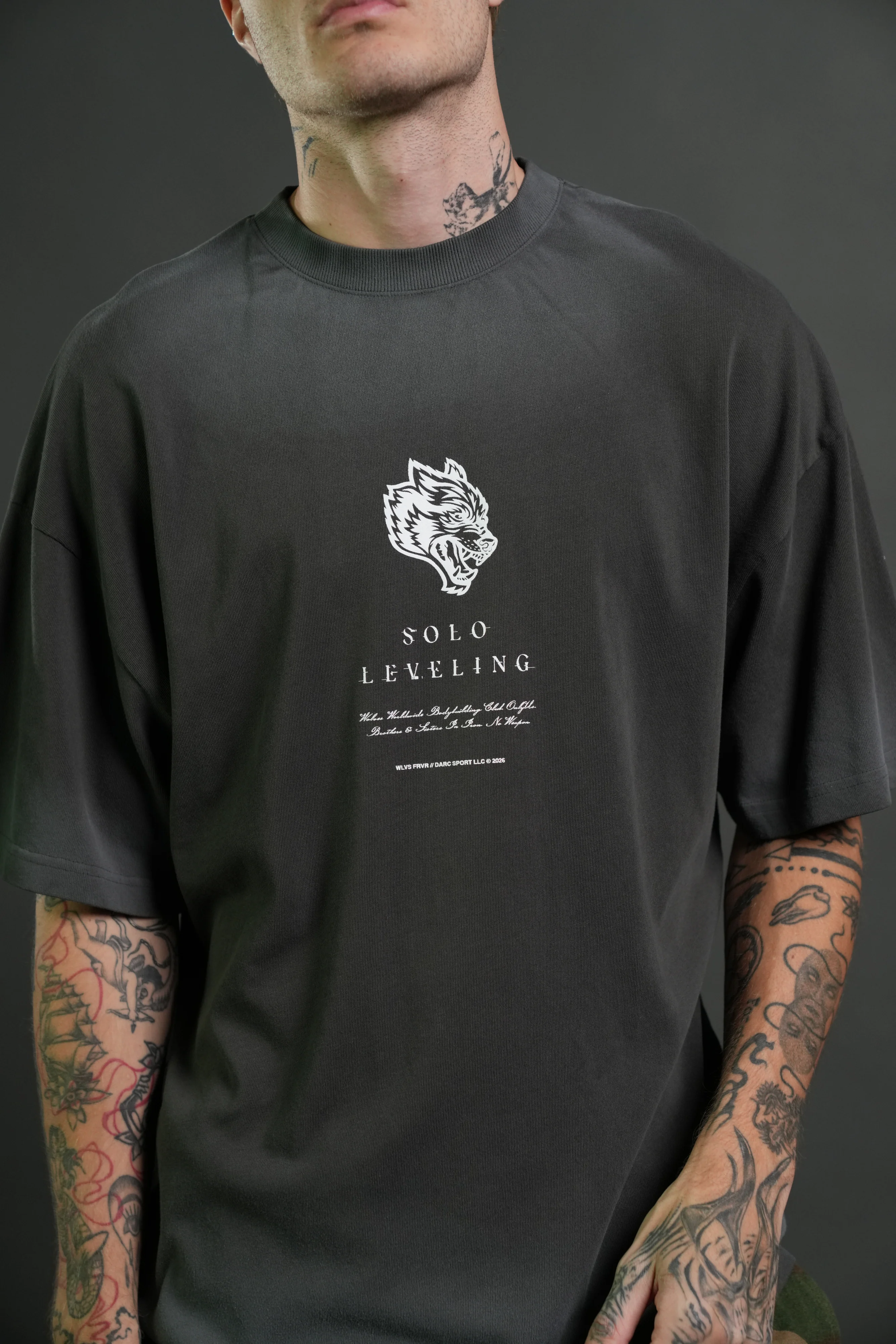 Celestial Knight Premium Oversized Tee in Wolf Gray - Image 7