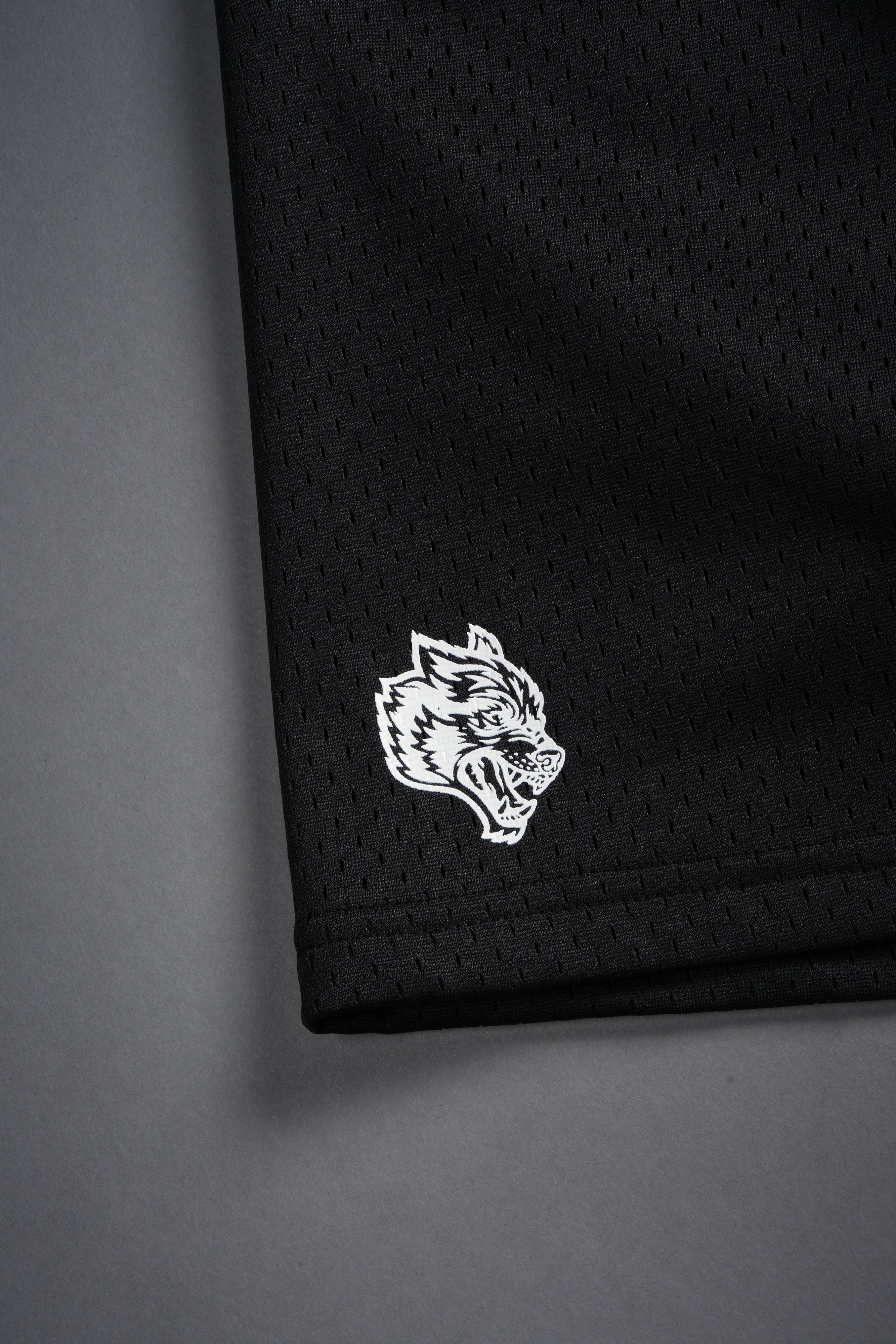 Dual Mesh Shorts in Black - Image 6