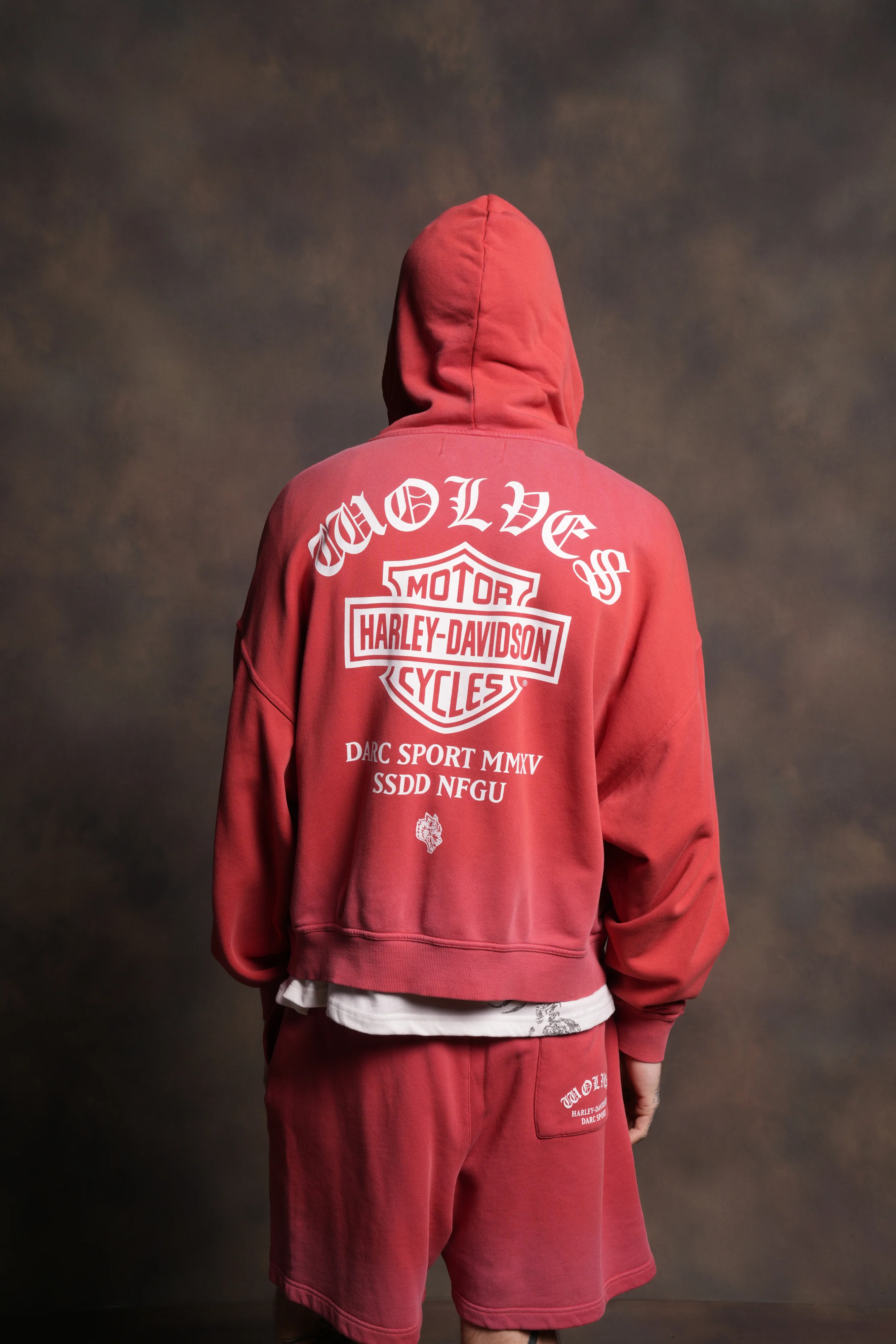 Harley-Davidson Wolves Vex Double Zip Hoodie in Roman Red Drift Wash - Image 4