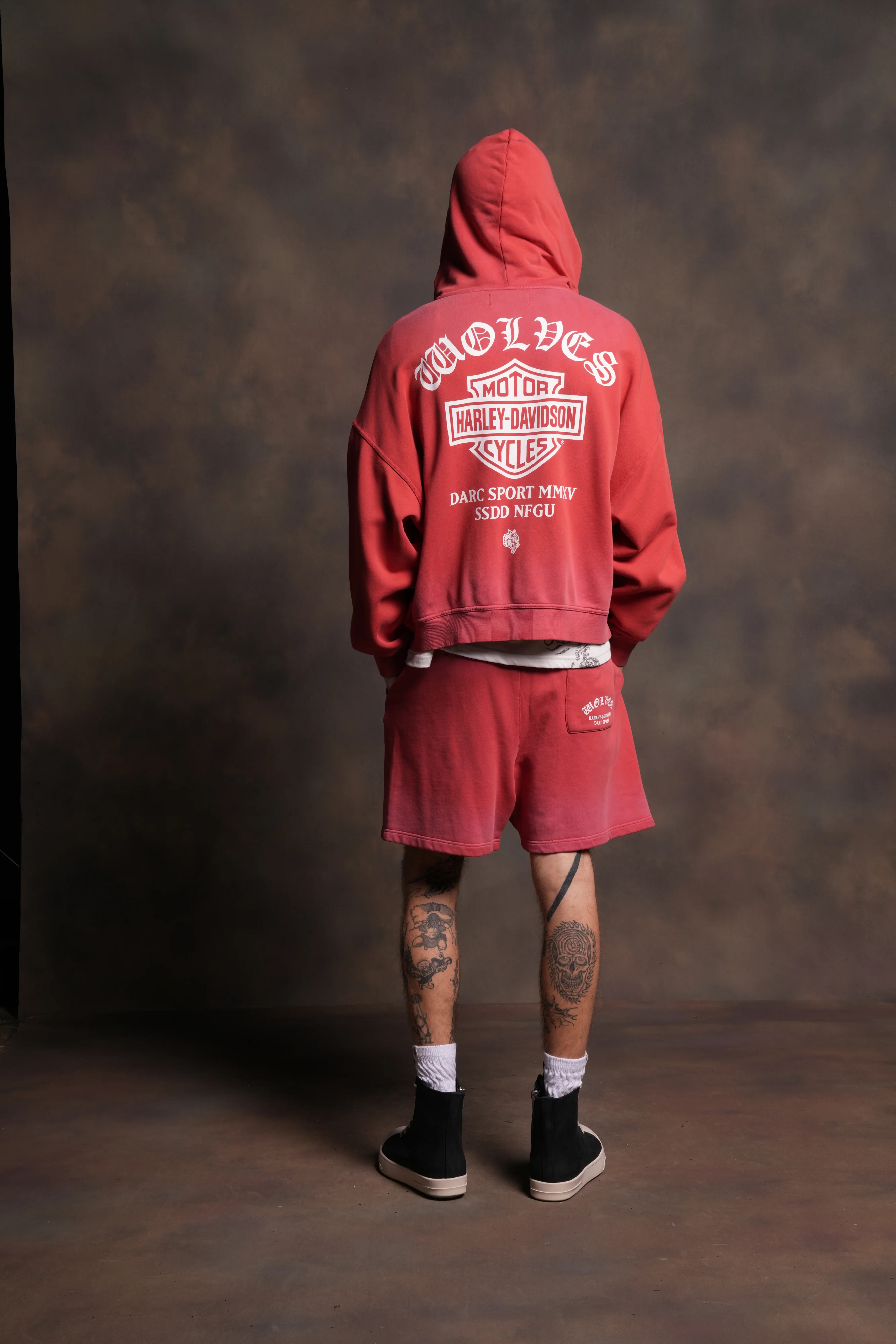 Harley-Davidson Wolves Vex Double Zip Hoodie in Roman Red Drift Wash - Image 6
