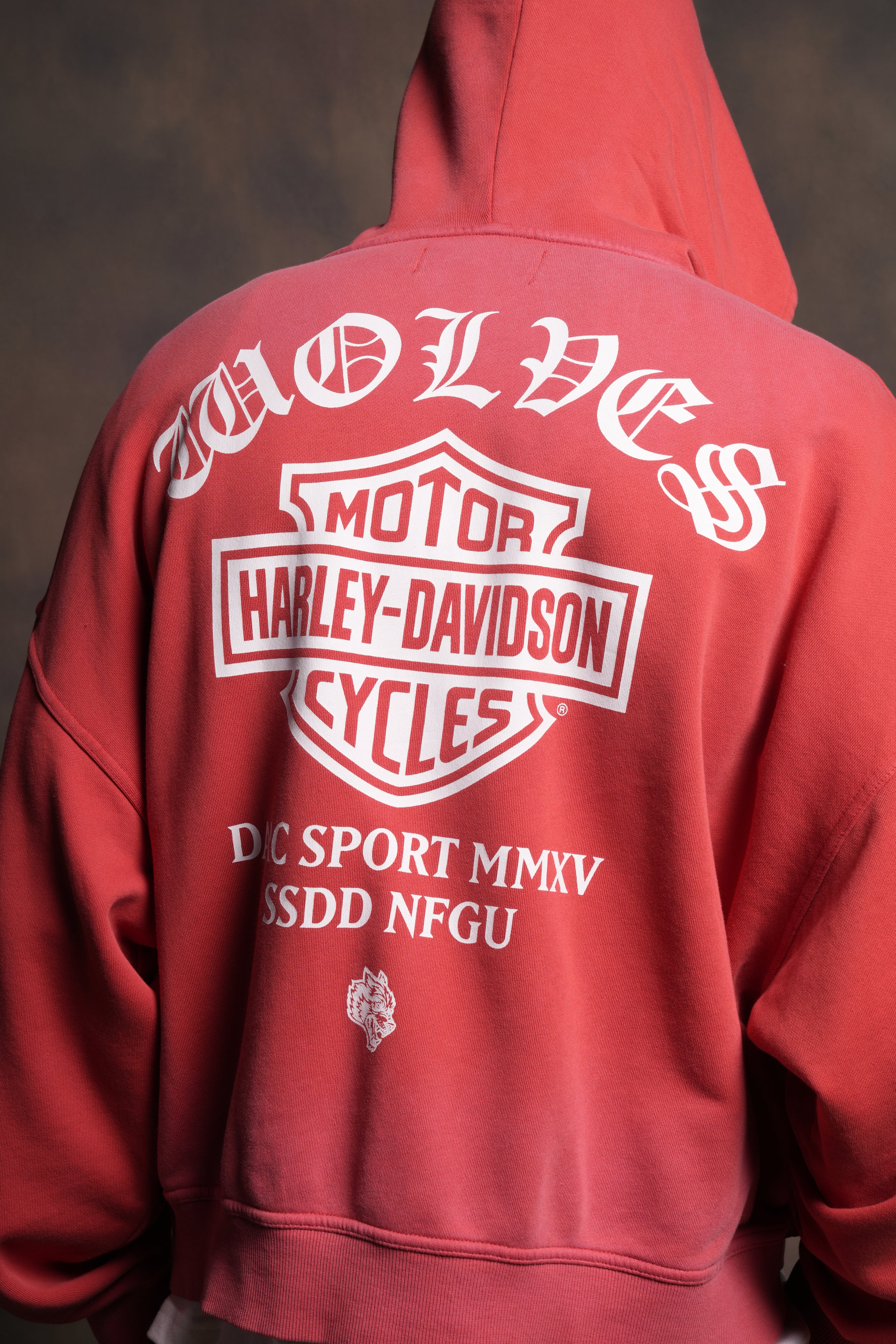 Harley-Davidson Wolves Vex Double Zip Hoodie in Roman Red Drift Wash - Image 8
