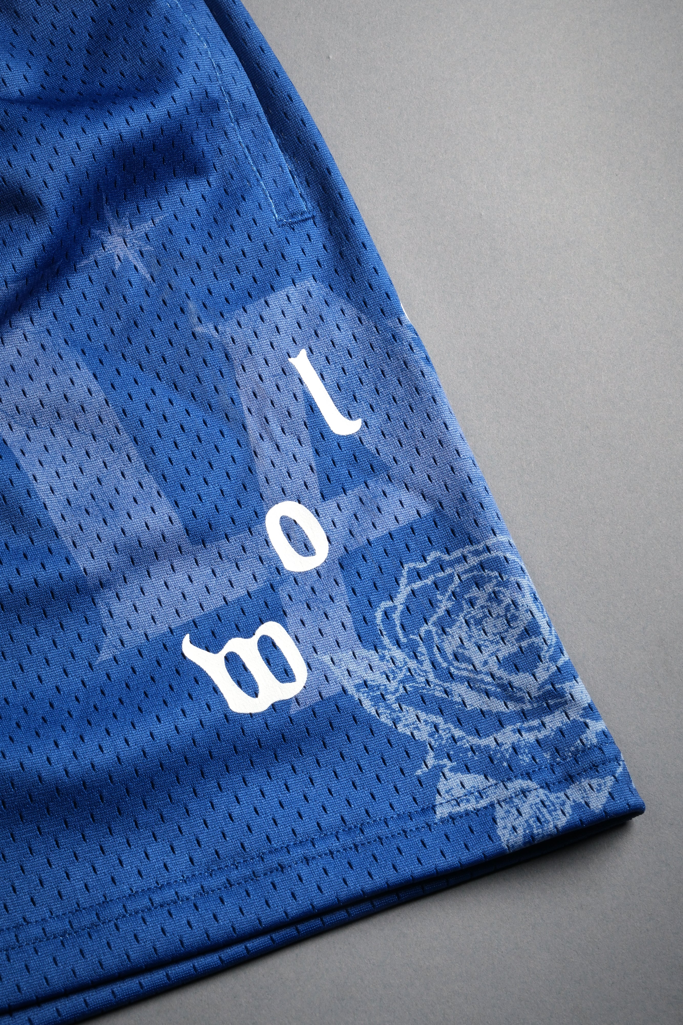 Homage To La Mesh Shorts in La Blue - Image 6