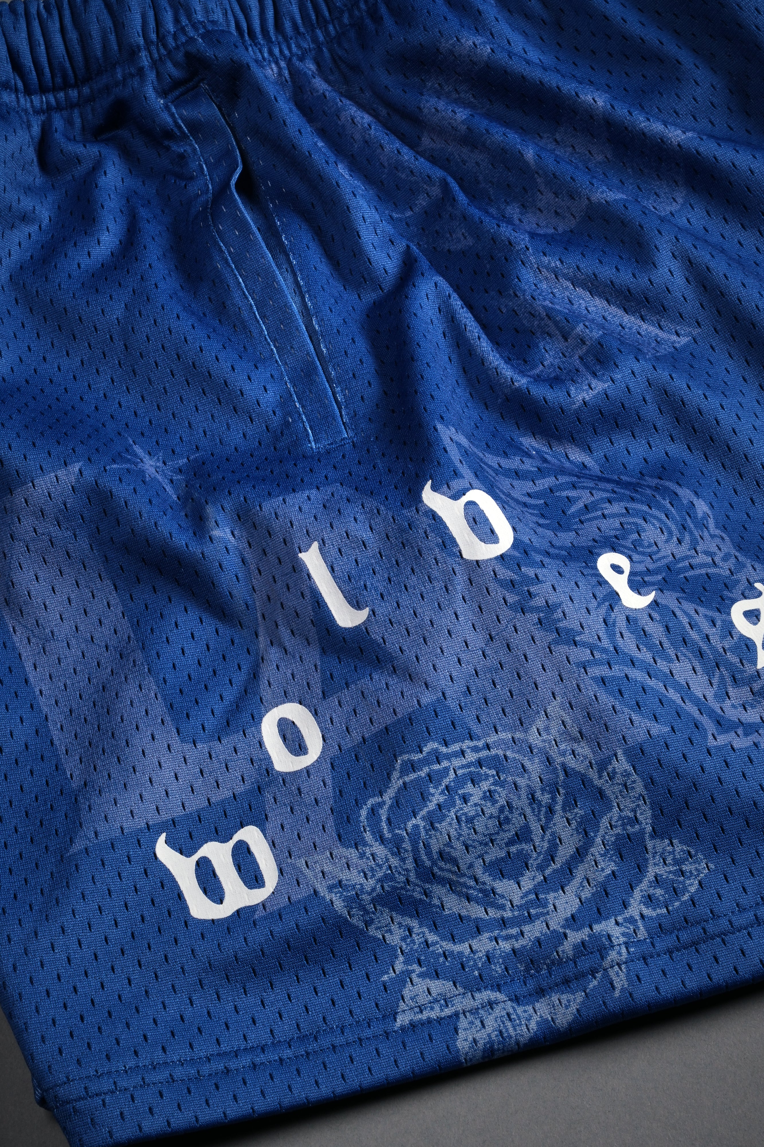 Homage To La Mesh Shorts in La Blue - Image 8