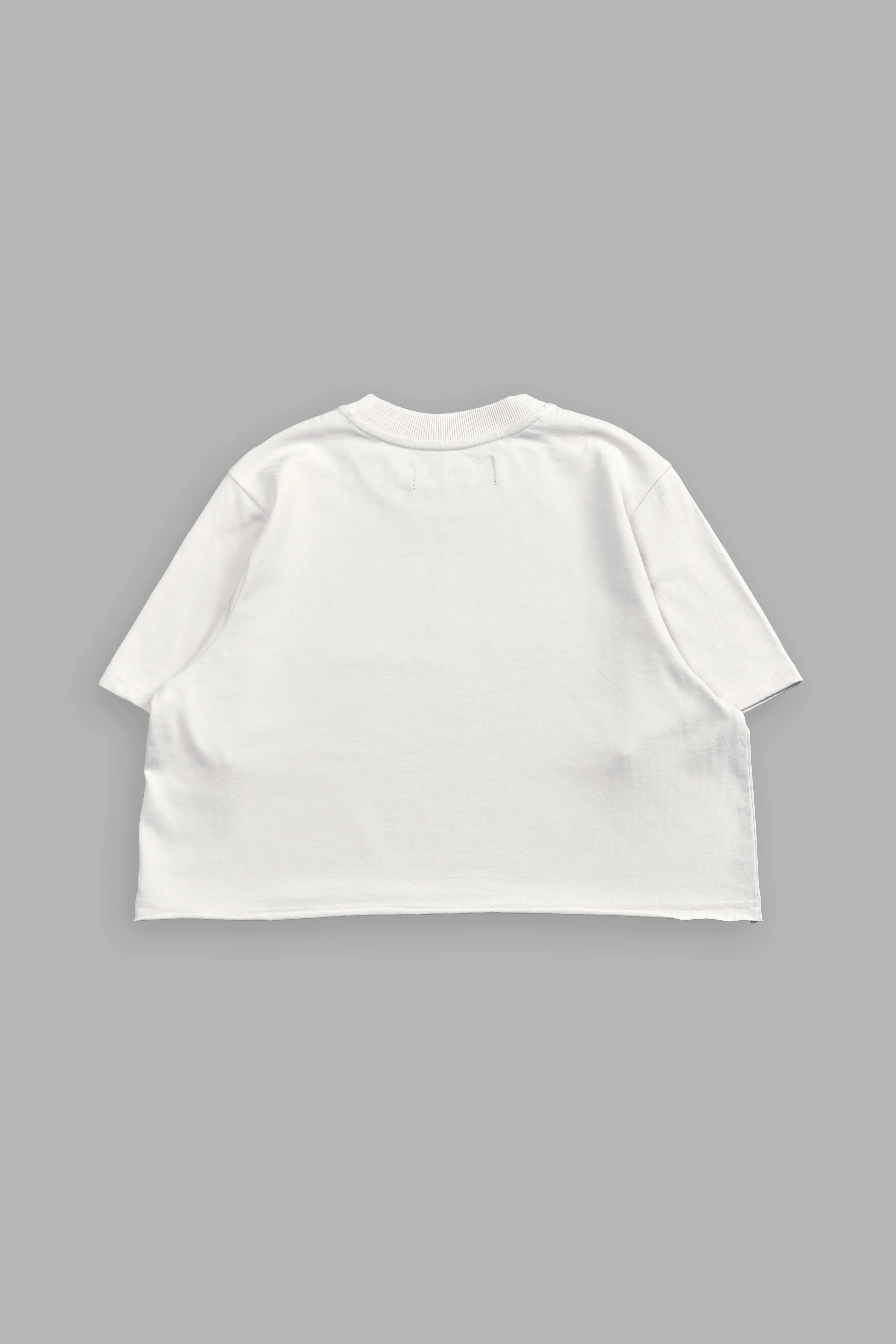 Pyramid V2 "Premium" (Cropped) Tee in Stone - Image 4