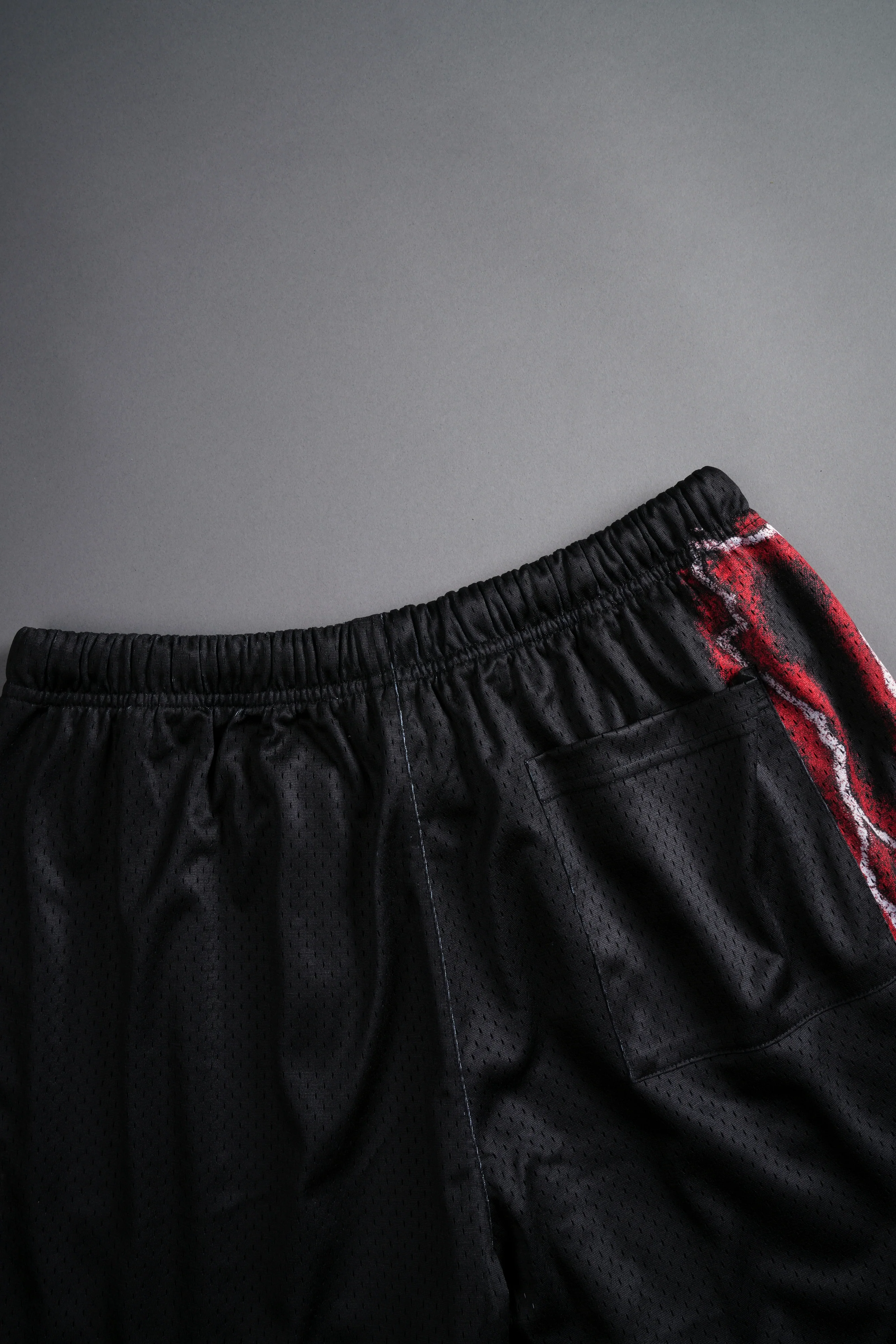 The Power Of The Dark Side Maul Mesh Shorts in Black - Image 9